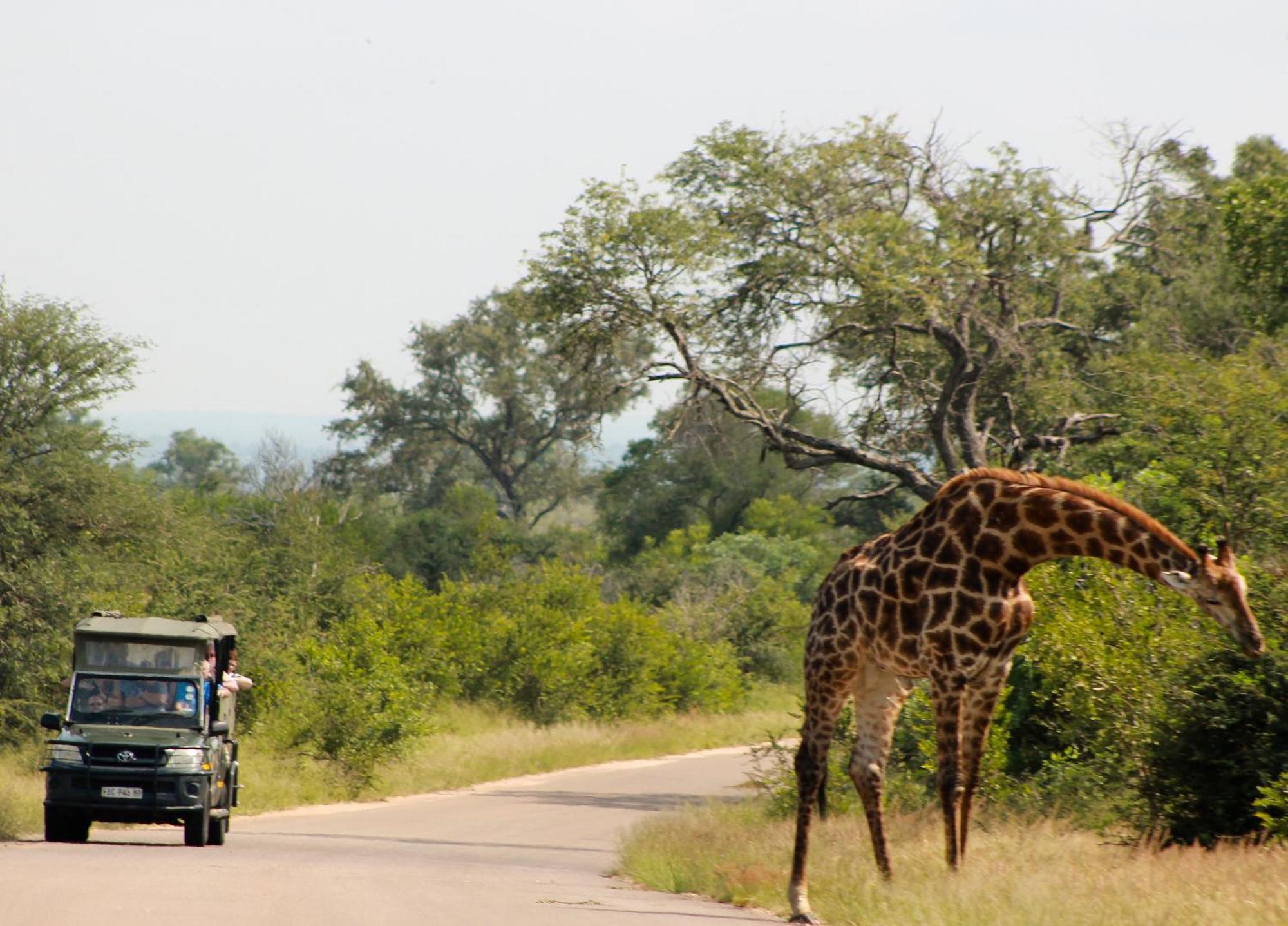 Aha Skukuza Safari Lodge 외부 사진