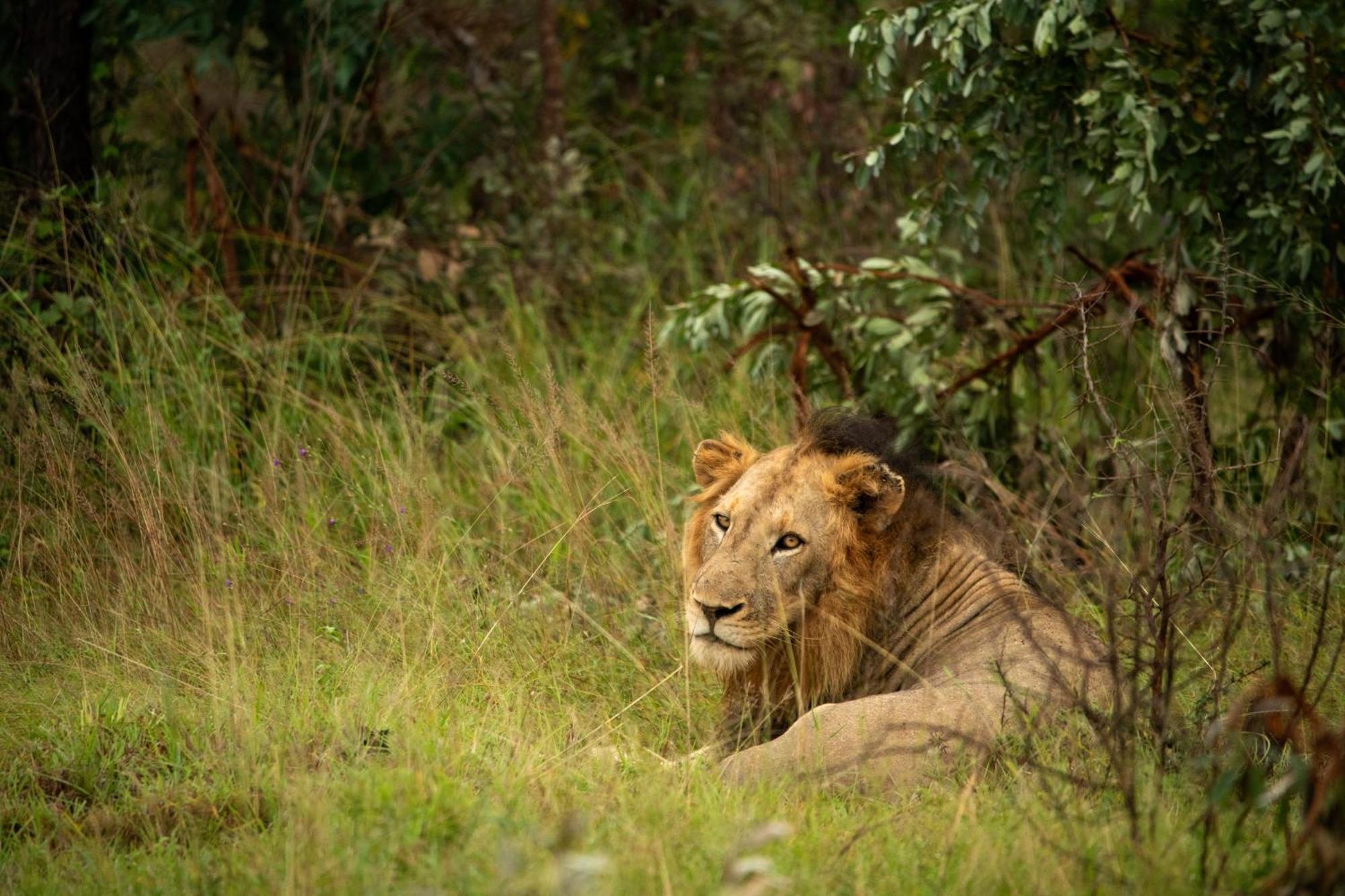 Aha Skukuza Safari Lodge 외부 사진