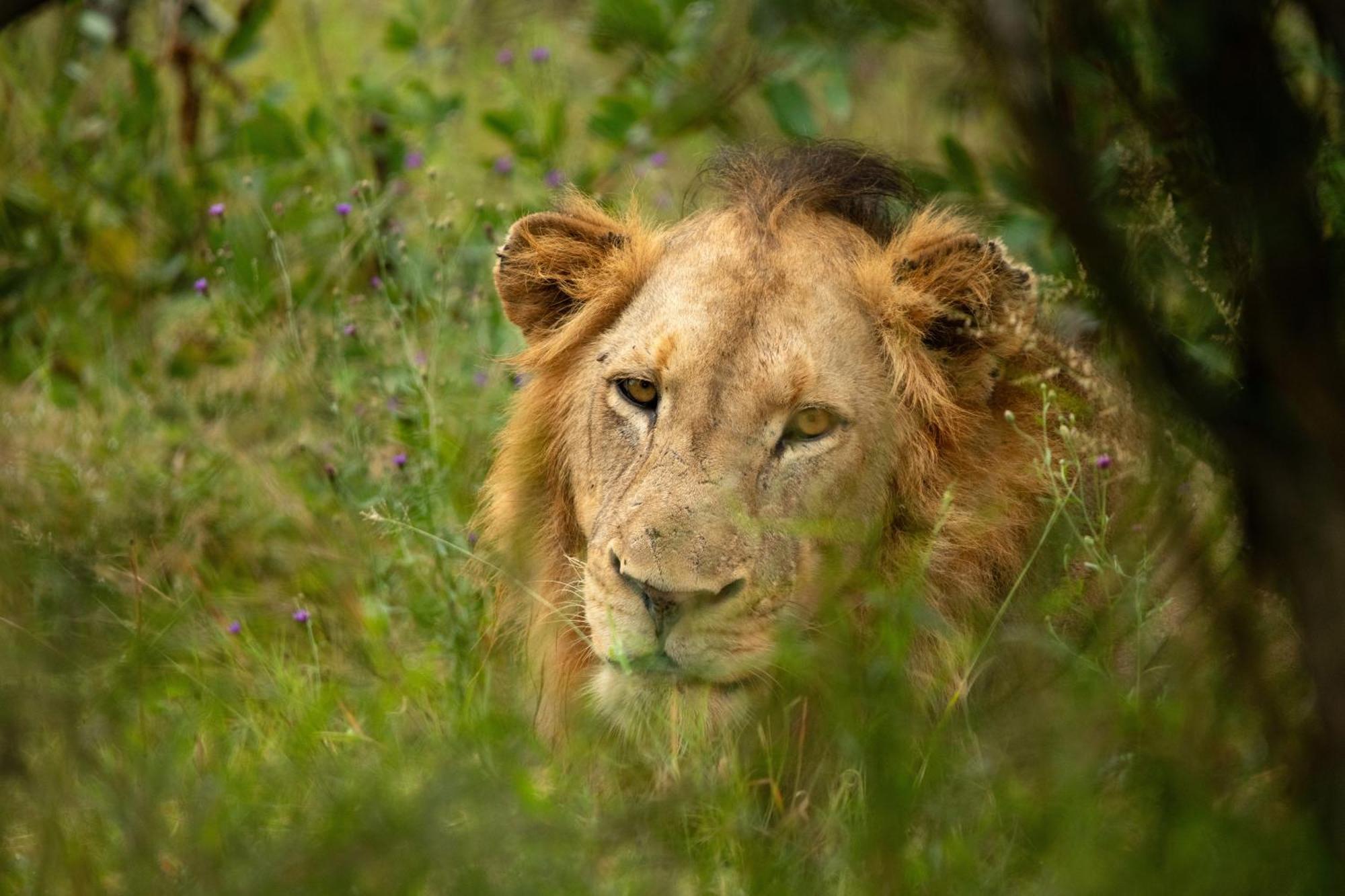 Aha Skukuza Safari Lodge 외부 사진